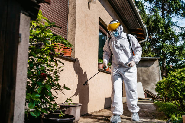 Trusted Navassa, NC Pest Control Experts