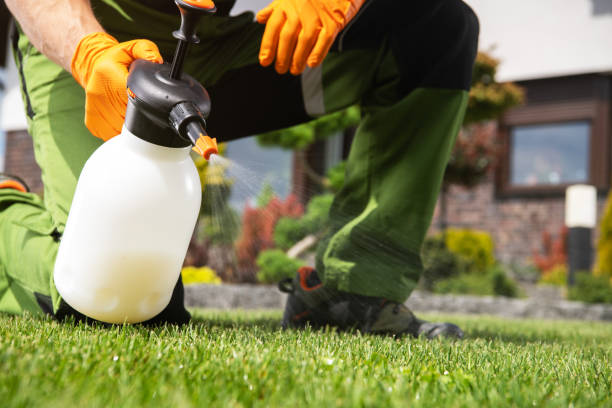 Best Residential Pest Control  in Navassa, NC