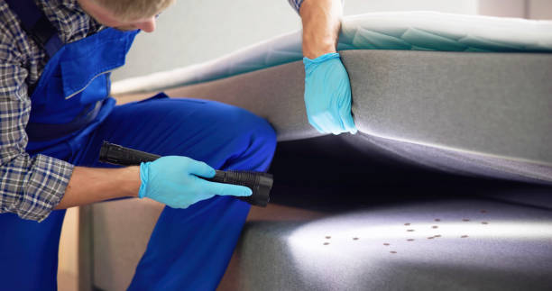 Best Exterminator Services  in Navassa, NC
