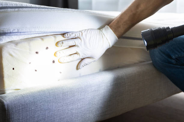 Best Exterminator Services  in Navassa, NC