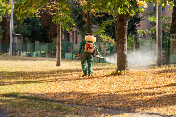 Best Best Pest Control Companies  in Navassa, NC